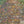 Fall Forest Floor Backdrop - HSD Photography Backdrops 
