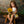 Fall Forest Floor Backdrop - HSD Photography Backdrops 
