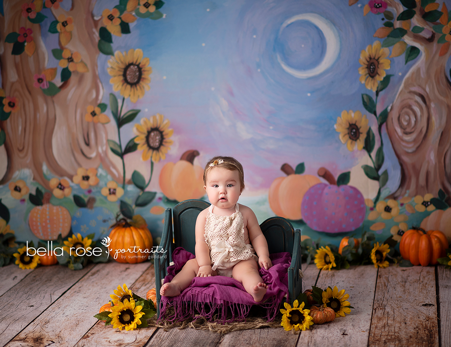 Whimsical Fall Painted - HSD Photography Backdrops 