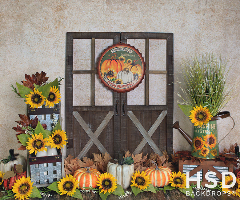 Beautiful Fall Scene Photography Backdrop Set Up With Props