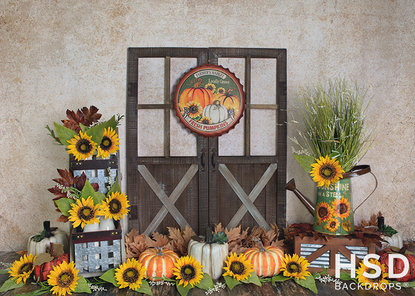 Beautiful Fall Scene Photography Backdrop Set Up With Props