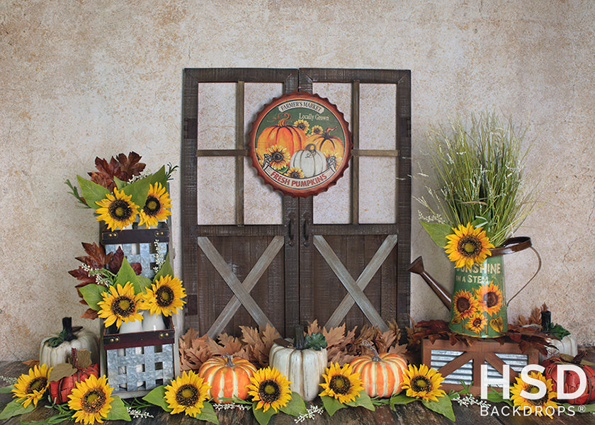 Fresh Picked Fall Backdrop Set Up - HSD Photography Backdrops 