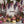 Pumpkin Princess Photo - HSD Photography Backdrops 