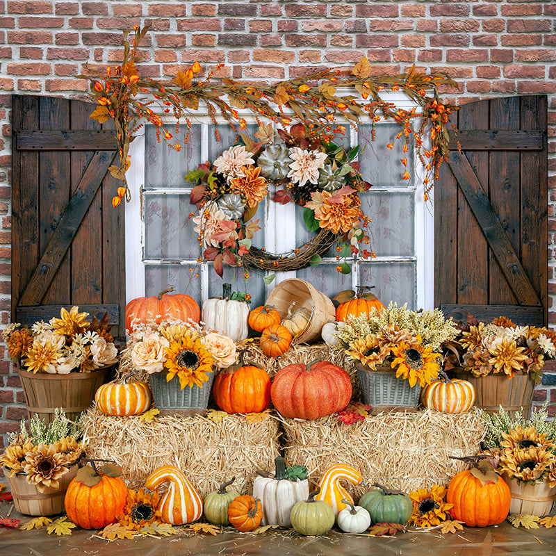 Fall Photo Shoot Props