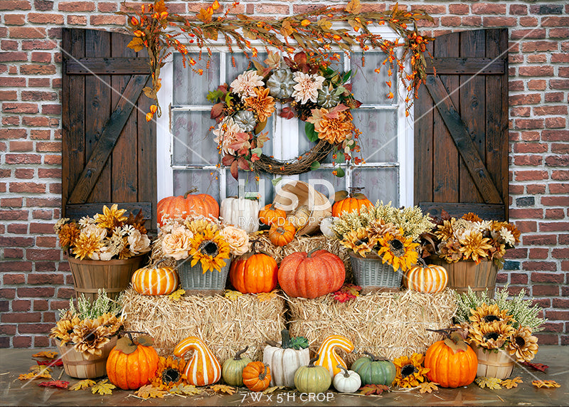 Fall on the Farmstead - HSD Photography Backdrops 