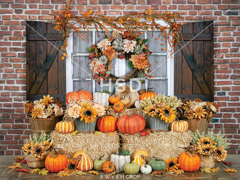 Fall on the Farmstead - HSD Photography Backdrops 