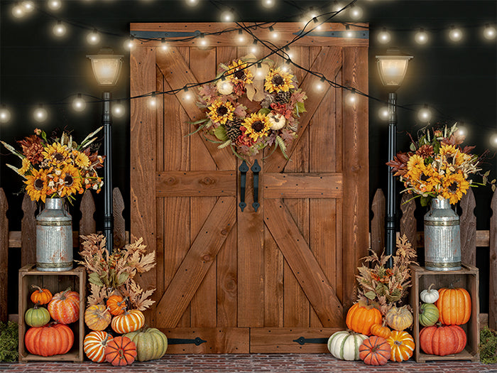 Harvest Door with Lights - HSD Photography Backdrops 