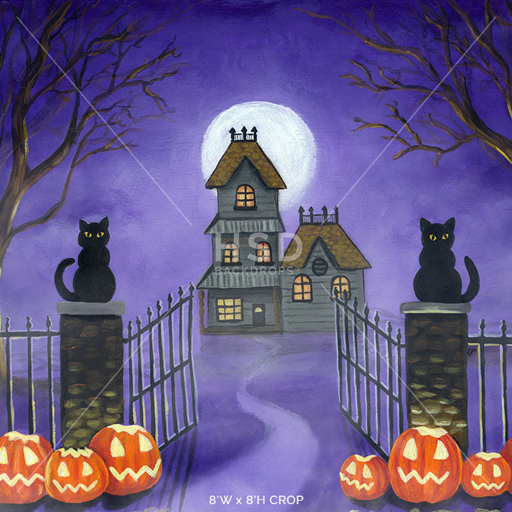 Haunted House Halloween Photo Backdrop for Pictures and Parties