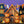 Gingerbread Halloween Village - HSD Photography Backdrops 