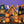 Gingerbread Halloween Village - HSD Photography Backdrops 