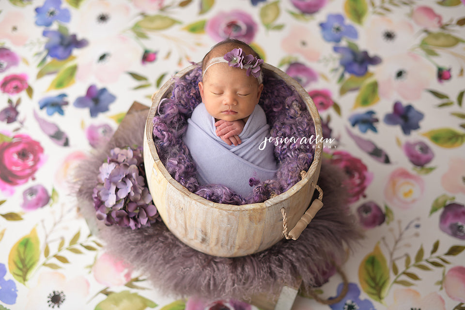 Isabelle - HSD Photography Backdrops 