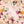 Floral | Kaylie - HSD Photography Backdrops 