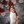 Kate Christmas Floral - HSD Photography Backdrops 