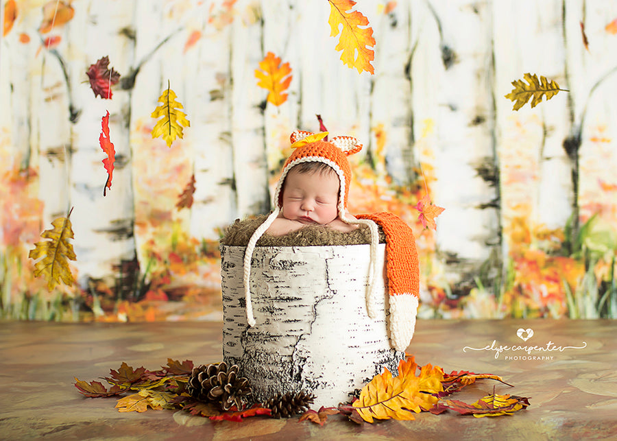 Autumn Birch Trees - HSD Photography Backdrops 