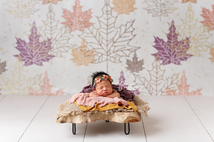 Colors of Autumn - HSD Photography Backdrops 