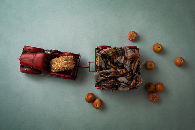 Fall on the Farm | Little Red Wagon Coll. | Digital - HSD Photography Backdrops 