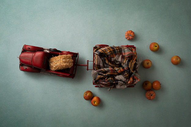 Little Red Wagon Collection | Digital - HSD Photography Backdrops 