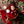 Snuggle Season Brown | Digital Backdrop - HSD Photography Backdrops 