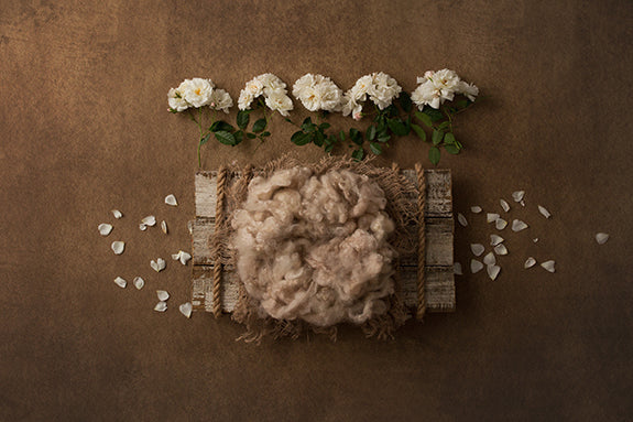 Rustic Charm | Farmhouse II Coll. | Digital - HSD Photography Backdrops 