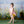 Spring | Skyview - HSD Photography Backdrops 