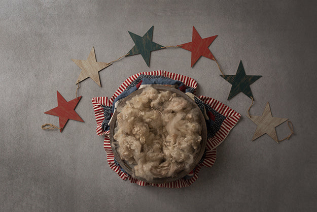 Freedom Collection | Digital - HSD Photography Backdrops 