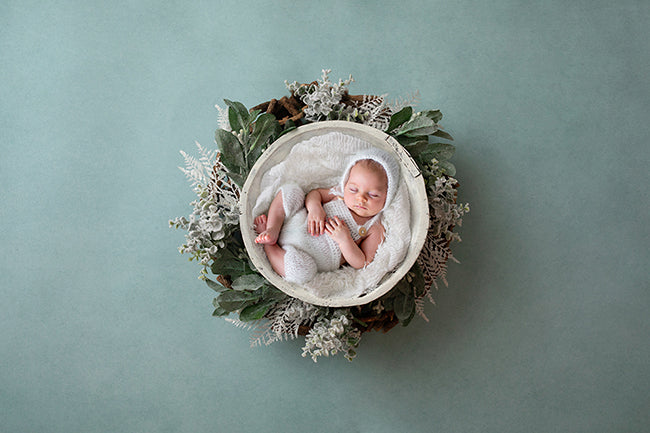 Frosty Ferns | Winter Wonderland Coll. | Digital - HSD Photography Backdrops 