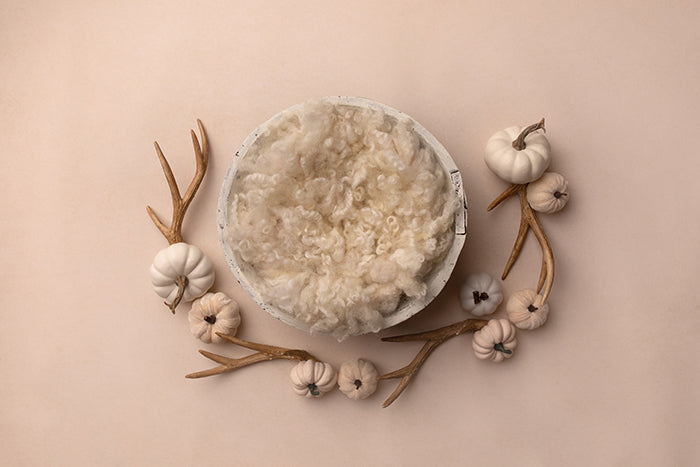 Happy Fall, Y'all | Newborn Digital Backdrop - HSD Photography Backdrops 