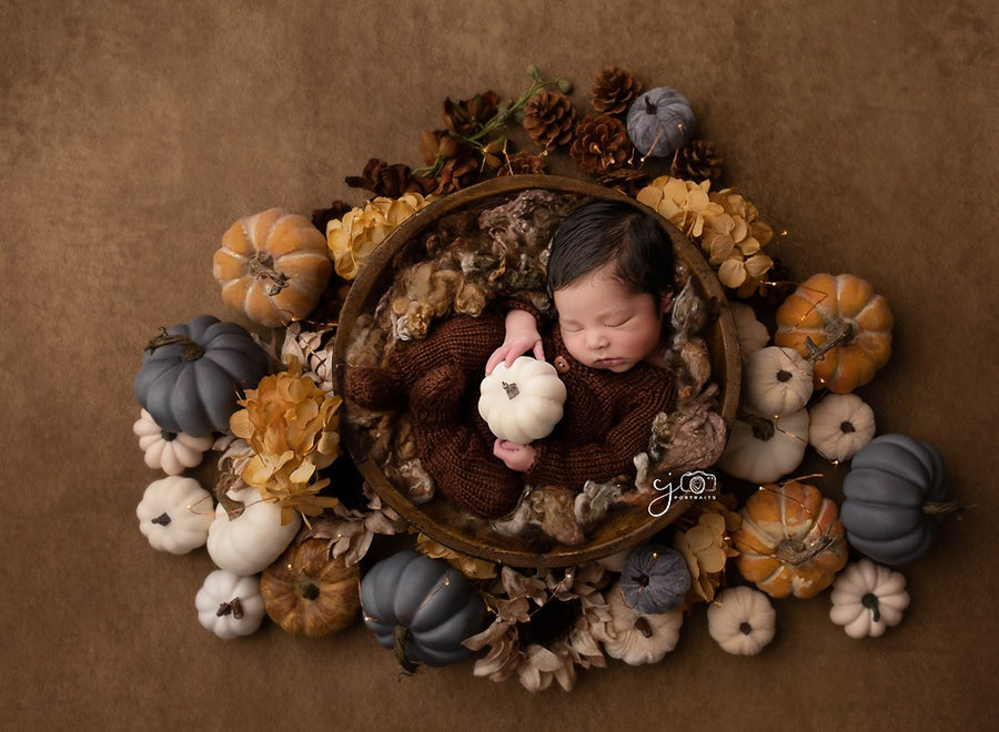 Harvest Delight II | Newborn Digital Backdrop - HSD Photography Backdrops 