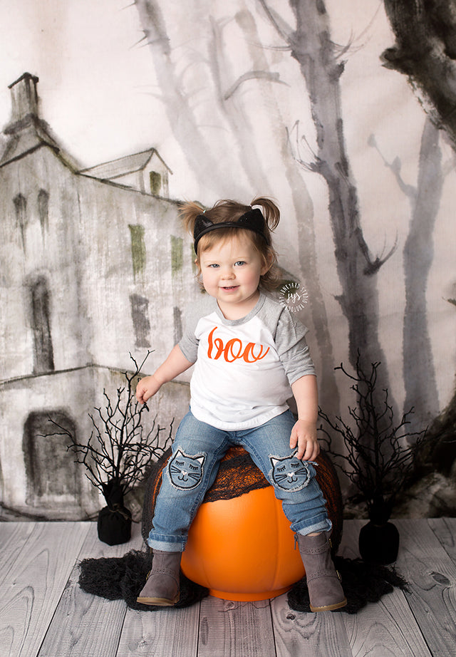 Haunted House - HSD Photography Backdrops 