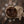Home for the Holidays I | Digital - HSD Photography Backdrops 