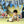 Beach House - HSD Photography Backdrops 