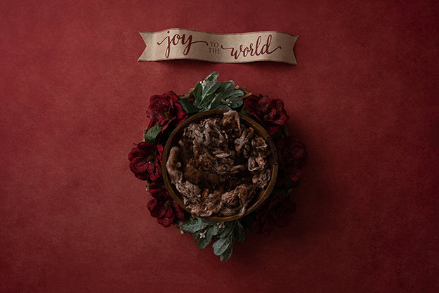 Joy Banner | Joy to the Wold Coll. | Digital - HSD Photography Backdrops 