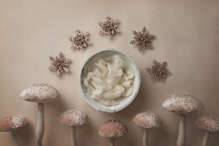 Land of Snowflakes | Merry Mushrooms Coll. | Digital - HSD Photography Backdrops 