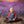 Lavender Field - HSD Photography Backdrops 