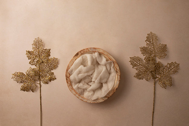 Autumn Splendor Collection | Digital - HSD Photography Backdrops 