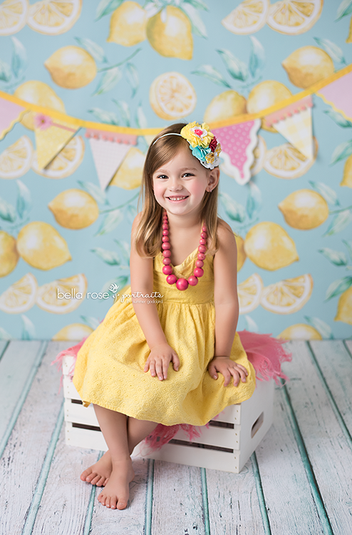 Lemons - HSD Photography Backdrops 