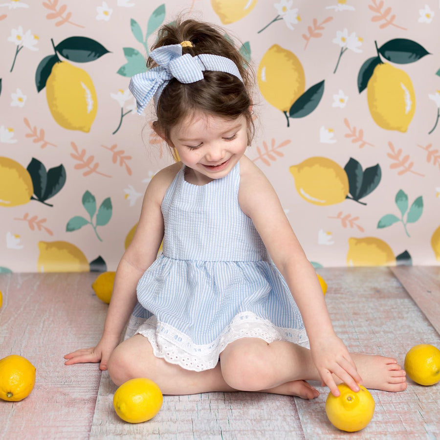 Citrus & Mint - HSD Photography Backdrops 