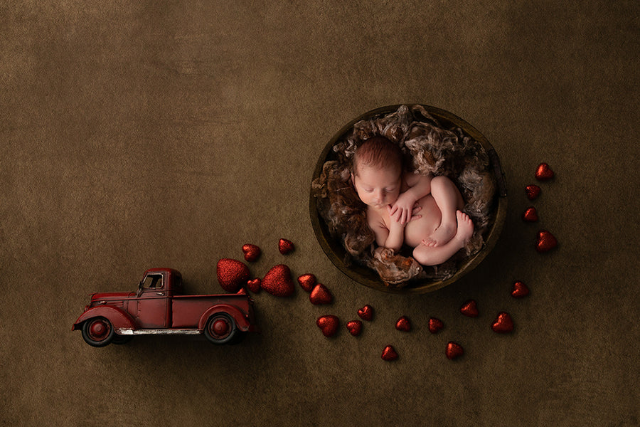 Newborn Digital Backdrop | Love in the Air - HSD Photography Backdrops 