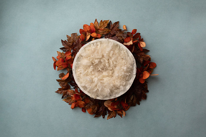 Lovely Autumn Leaves II | Newborn Digital Backdrop - HSD Photography Backdrops 