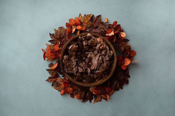 Lovely Autumn Leaves I | Newborn Digital Backdrop - HSD Photography Backdrops 