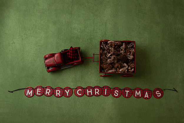 Merry Christmas Banner | Deck the Halls Coll. | Digital - HSD Photography Backdrops 