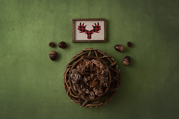 Mooselodge Collection | Digital - HSD Photography Backdrops 