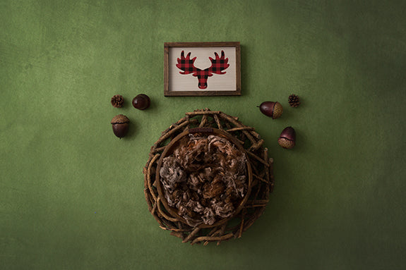 Moose | Moose Lodge Coll. | Digital - HSD Photography Backdrops 