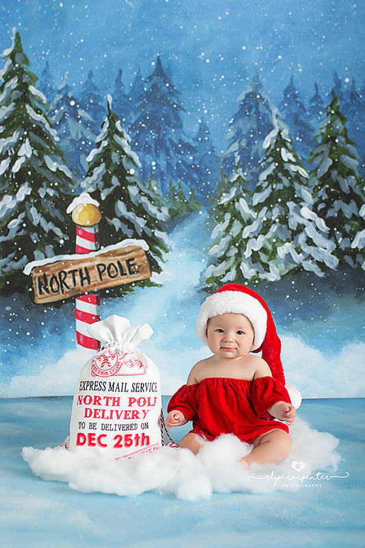 North Pole Floor - HSD Photography Backdrops 