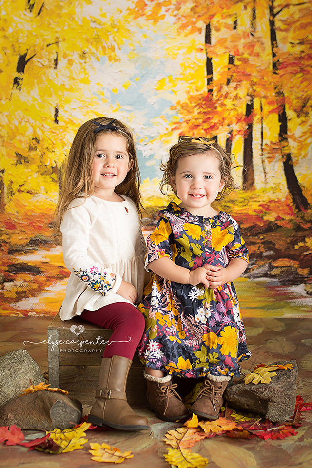 Autumn Woods - HSD Photography Backdrops 