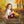 Autumn Woods - HSD Photography Backdrops 