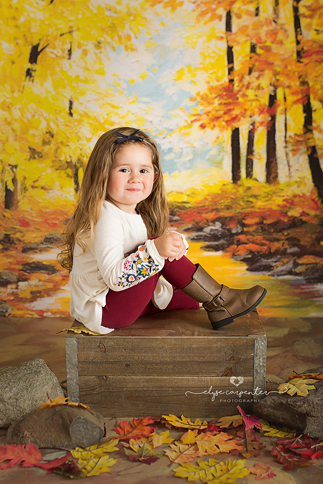 Autumn Woods Photography Backdrop Fall Photo Props Baby FALL270