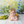Spring | Skyview - HSD Photography Backdrops 