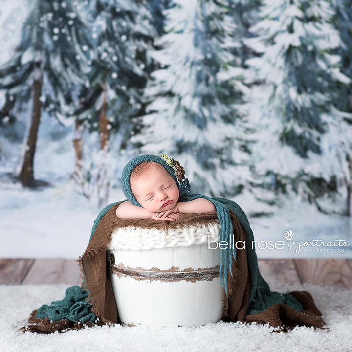 Winter Woods - HSD Photography Backdrops 