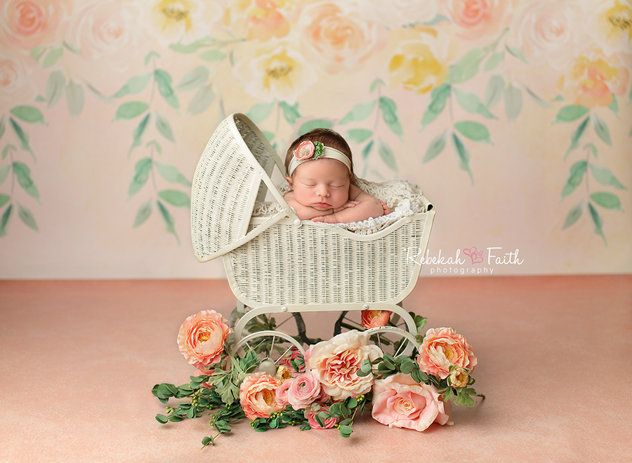 Floria | Caroline - HSD Photography Backdrops 